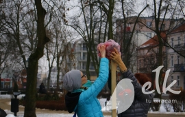 Zdjęcie: 15