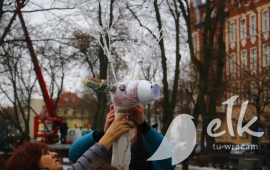Zdjęcie: 55