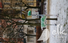 Zdjęcie: 61