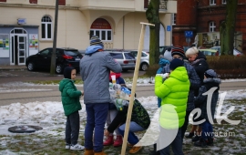 Zdjęcie: 101
