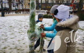 Zdjęcie: 59
