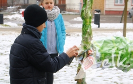 Zdjęcie: 93