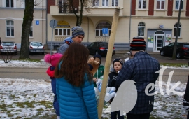 Zdjęcie: 72