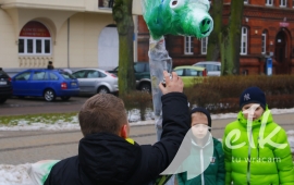Zdjęcie: 31