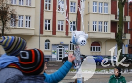Zdjęcie: 44
