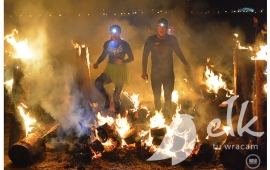 Zdjęcie: 8