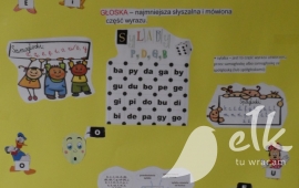 Zdjęcie: 5
