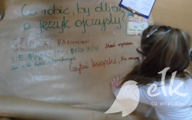 Zdjęcie: 16
