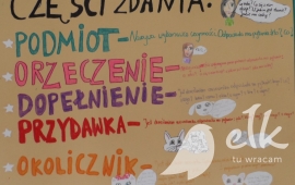 Zdjęcie: 4