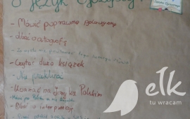 Zdjęcie: 21
