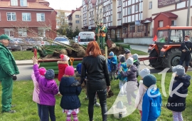 Zdjęcie: 3