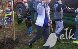 Zdjęcie: 4