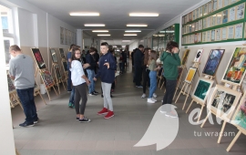 Zdjęcie: 11