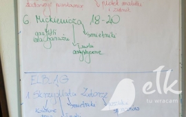 Zdjęcie: 22