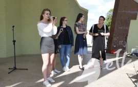 Zdjęcie: 9