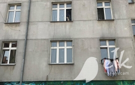 Zdjęcie: 3