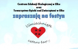 Zdjęcie: 0
