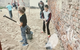 Zdjęcie: 8