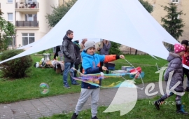 Zdjęcie: 8