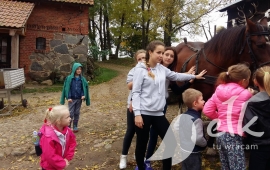 Zdjęcie: 1