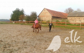 Zdjęcie: 11