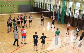 Zdjęcie: 11