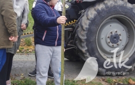 Zdjęcie: 10