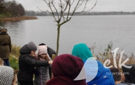Zdjęcie: 2