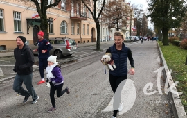 Zdjęcie: 24