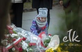 Zdjęcie: 16