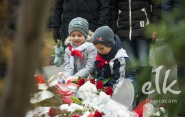 Zdjęcie: 17