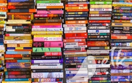 Competition for the school librarian