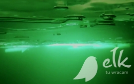 Prima di andare su un lago ghiacciato o fiume, Vedi il video registrato nell'alce!