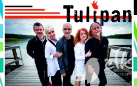 Raudona tulpė koncertas