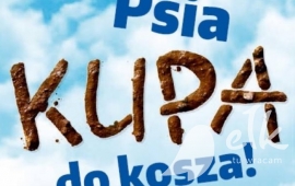 Zdjęcie: 0