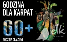 Zdjęcie: 0