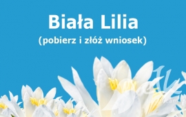 Zdjęcie: 0