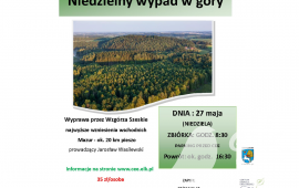 Zdjęcie: 0