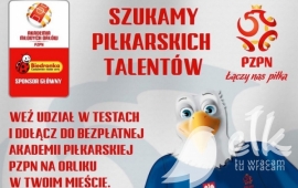 Zdjęcie: 0