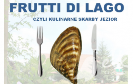 Zdjęcie: 0