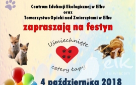 Zdjęcie: 0