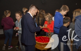 Zdjęcie: 5