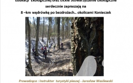 Wędrówka piesza po bezdrożach