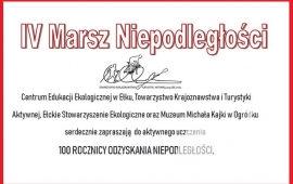 Zdjęcie: 0