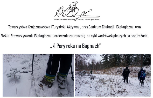 Zima na Bagnach Biebrzańskich