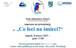 Zdjęcie: 0