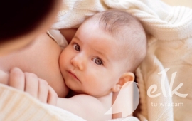 Free School of giving birth and Nursing Clinic in Elk