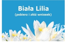 Apply for the award of the White Lily for achievements in the year 2018