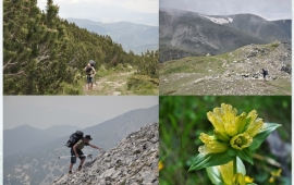 Wyprawy w góry Riła i Pirin