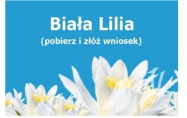 Extended call for applications for the award of the White Lily for achievements in the year 2018